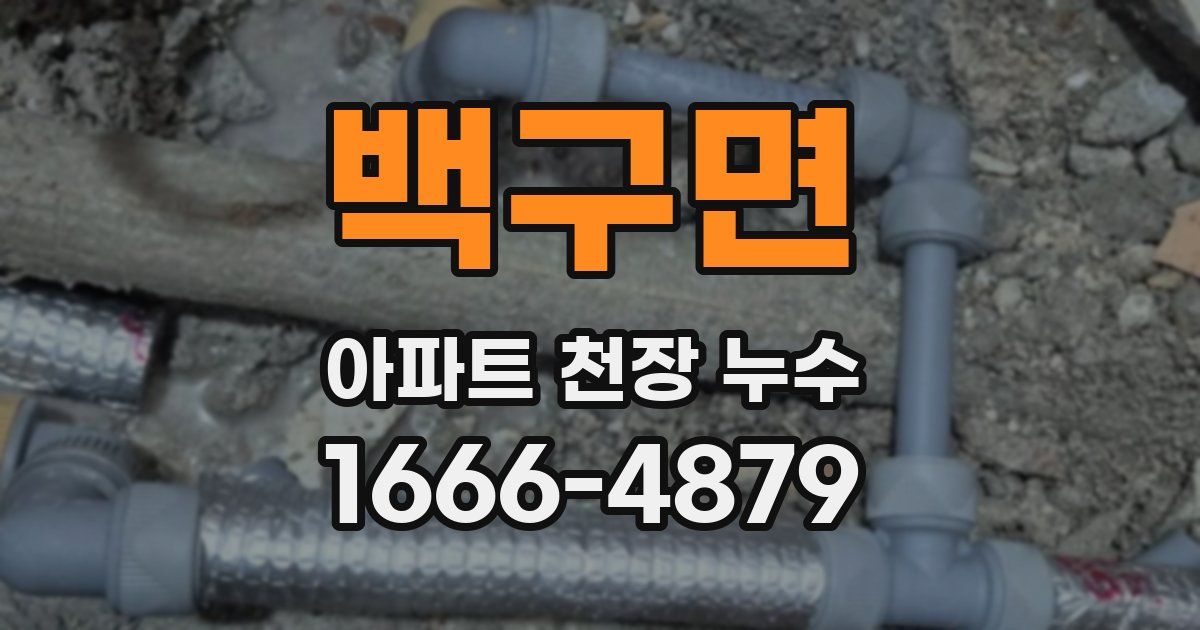 백구면 아파트 천장 누수