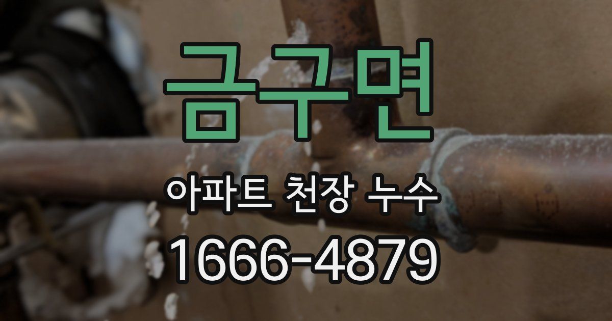 금구면 아파트 천장 누수
