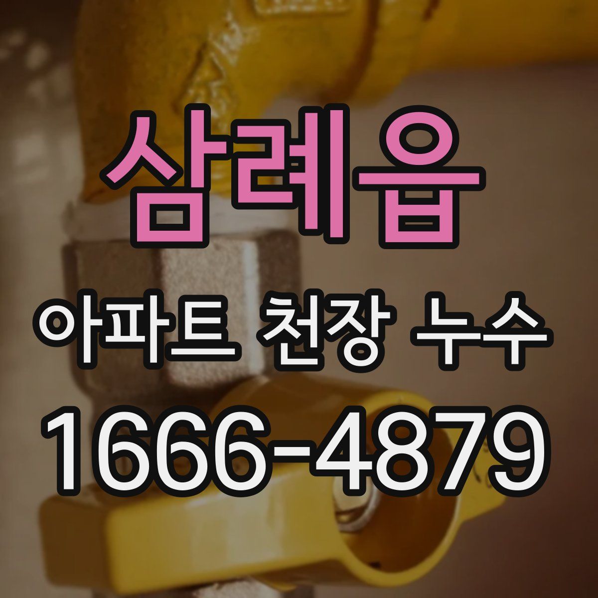 삼례읍 아파트 천장 누수