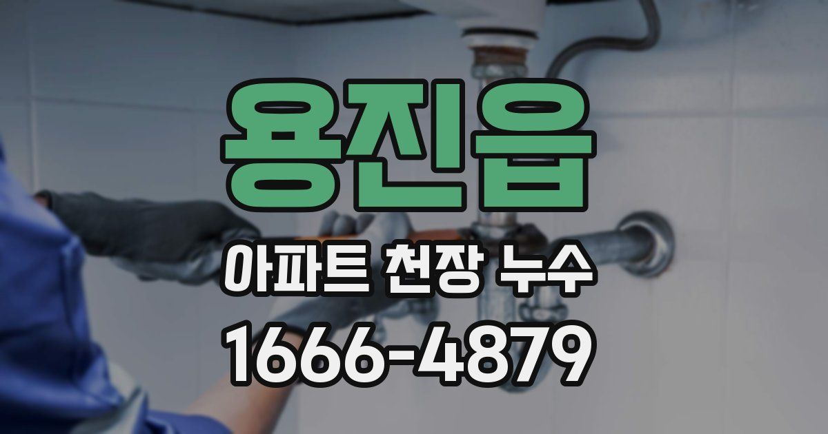 용진읍 아파트 천장 누수