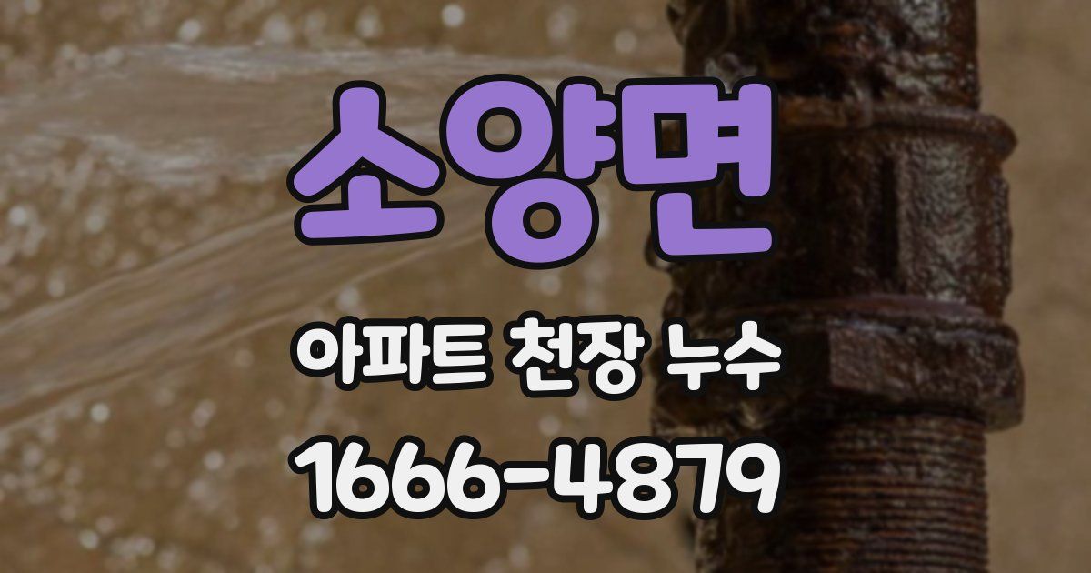 소양면 아파트 천장 누수