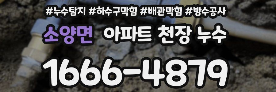 소양면 아파트 천장 누수