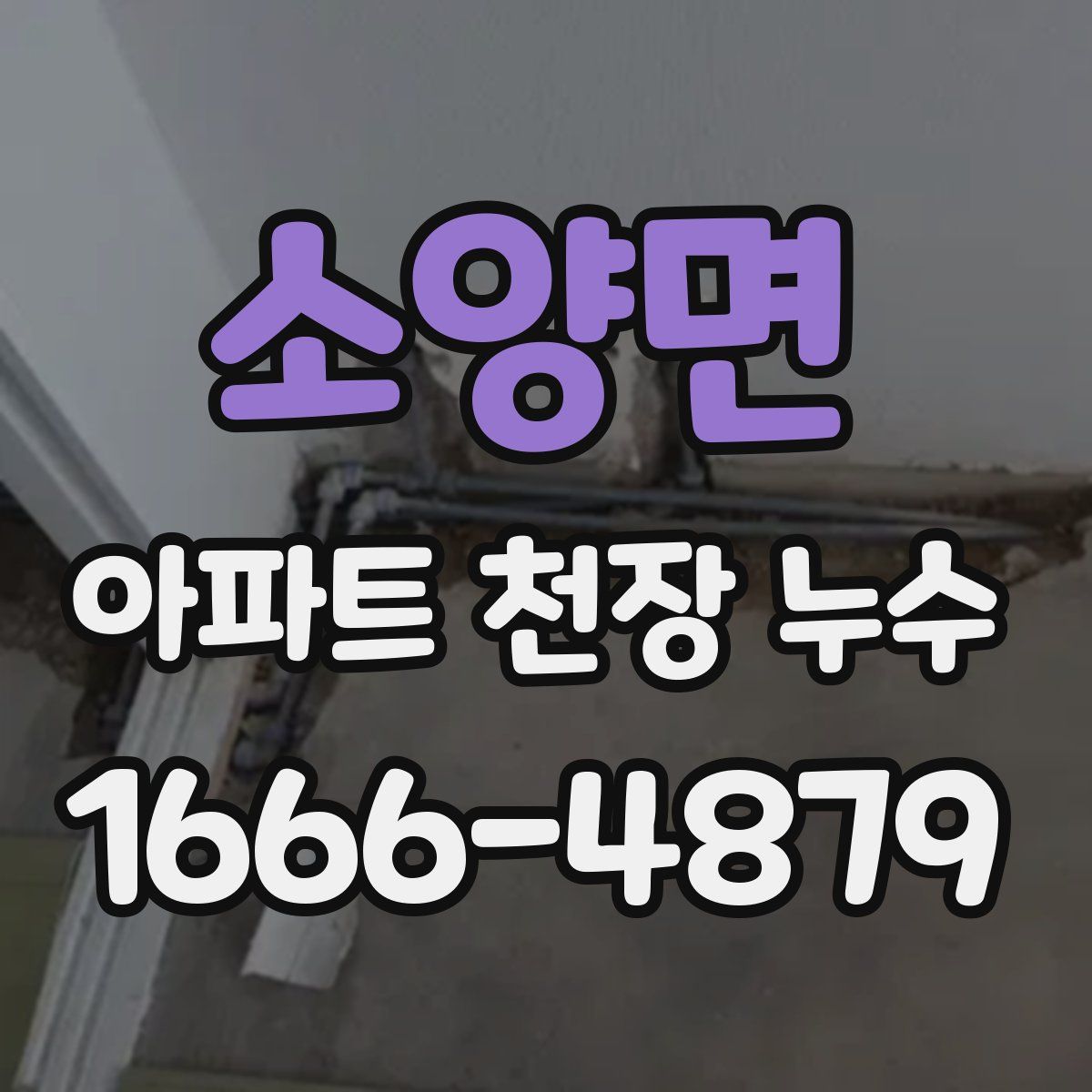 소양면 아파트 천장 누수