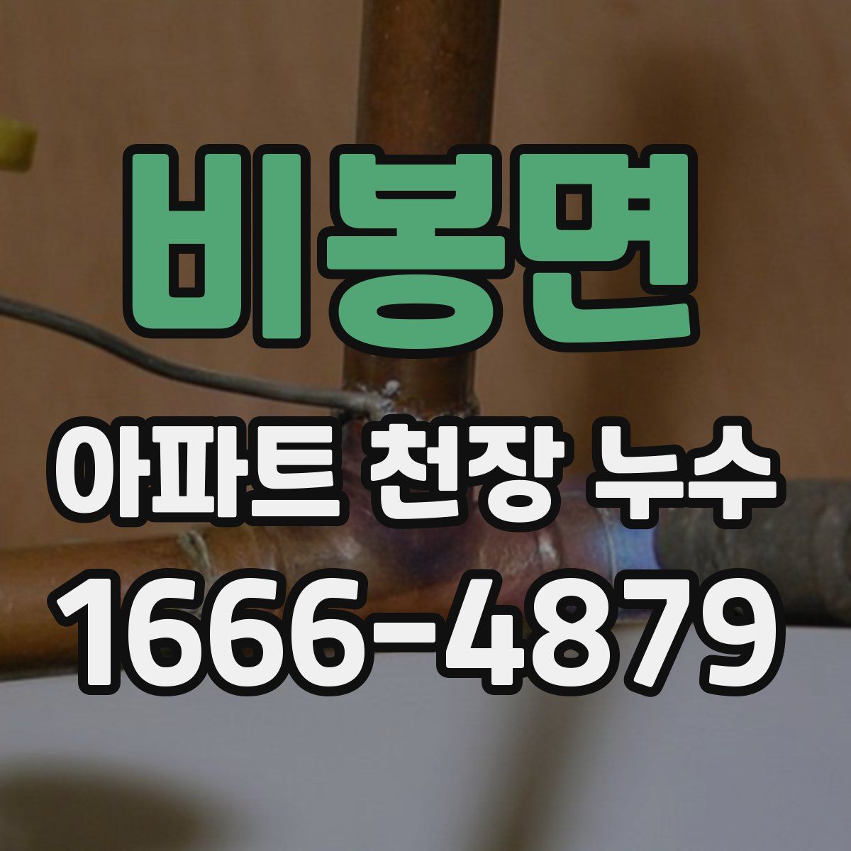 비봉면 아파트 천장 누수