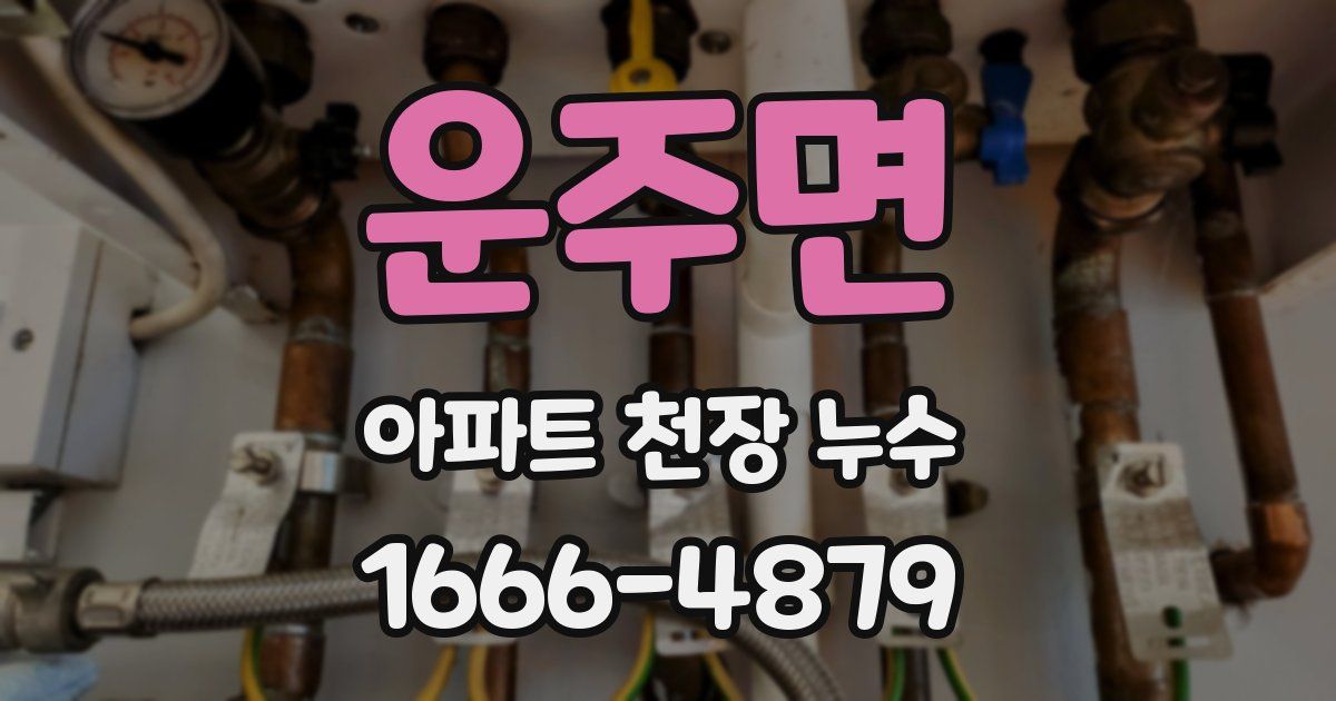 운주면 아파트 천장 누수