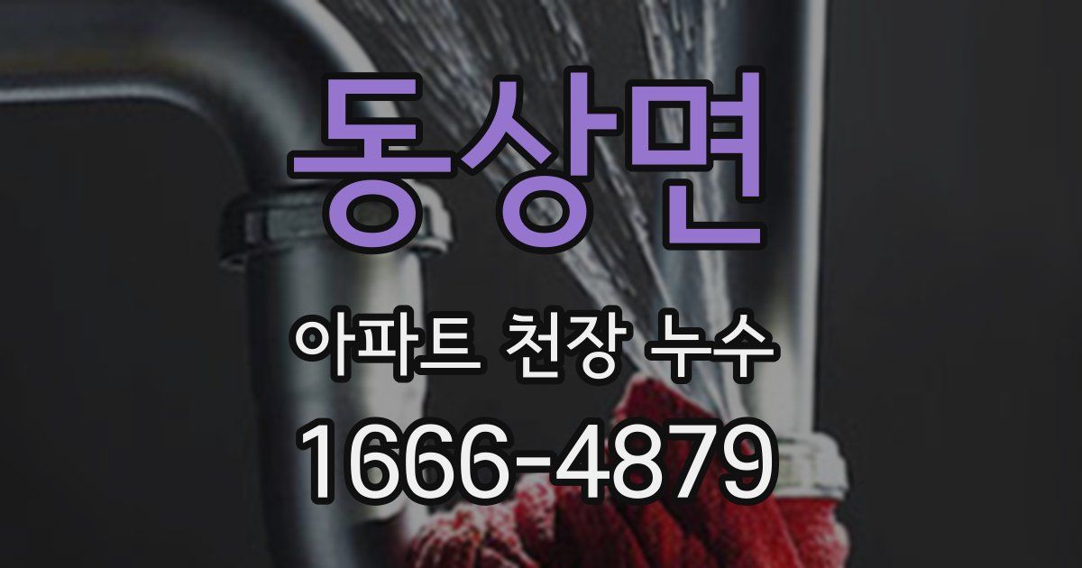 동상면 아파트 천장 누수