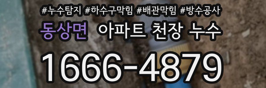 동상면 아파트 천장 누수