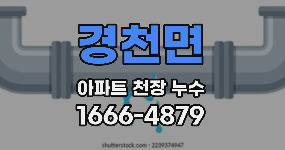 경천면 아파트 천장 누수