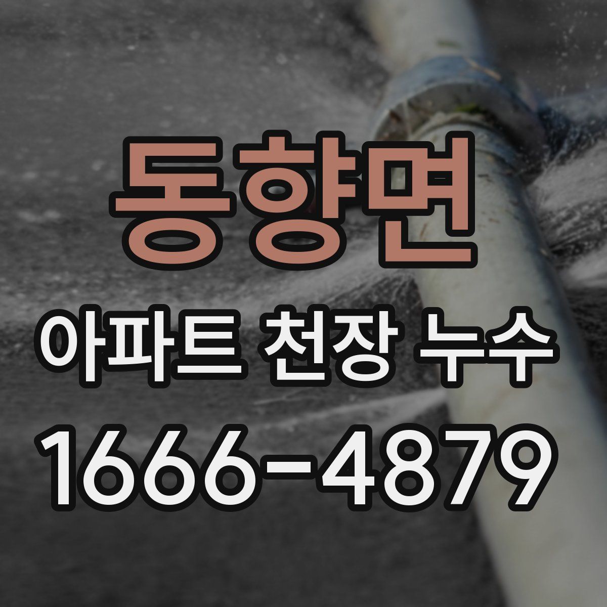 동향면 아파트 천장 누수