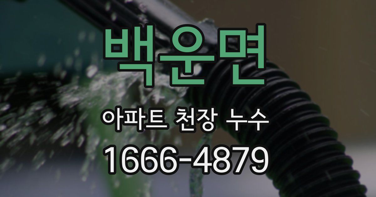 백운면 아파트 천장 누수
