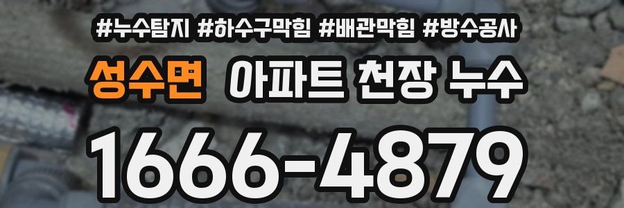 성수면 아파트 천장 누수