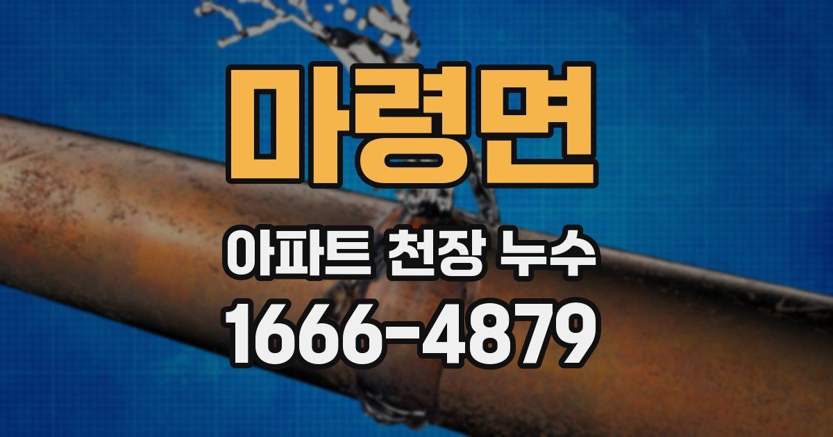 마령면 아파트 천장 누수
