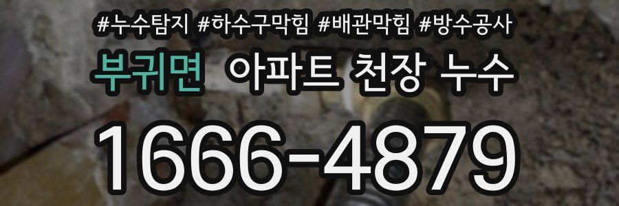 부귀면 아파트 천장 누수