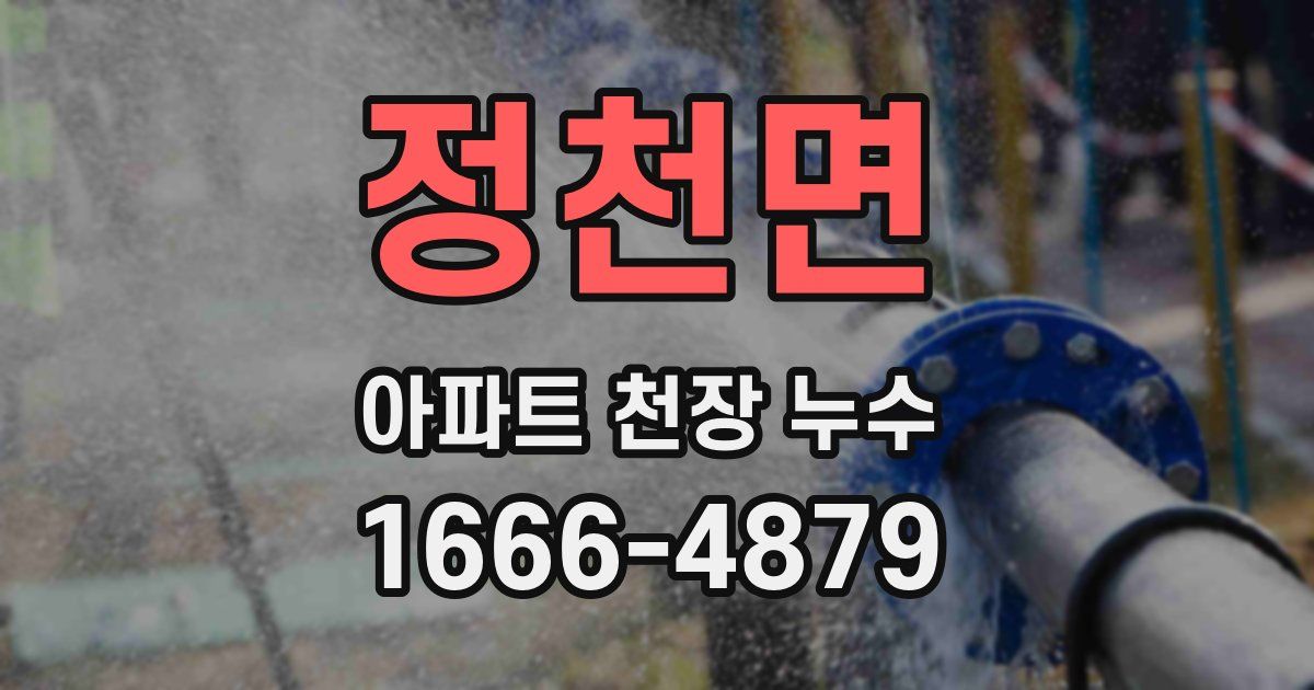 정천면 아파트 천장 누수