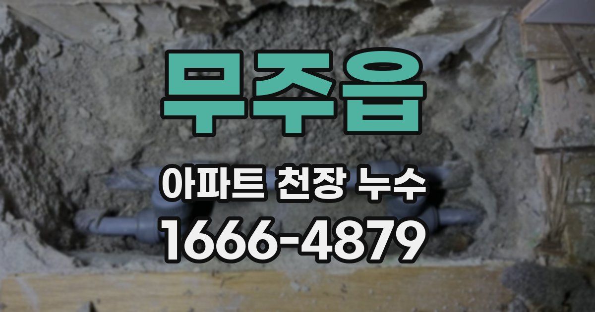 무주읍 아파트 천장 누수