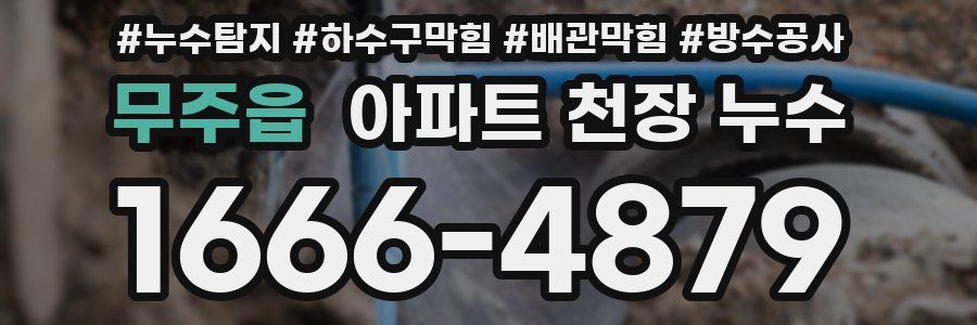 무주읍 아파트 천장 누수