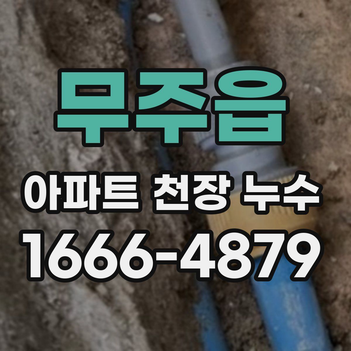 무주읍 아파트 천장 누수