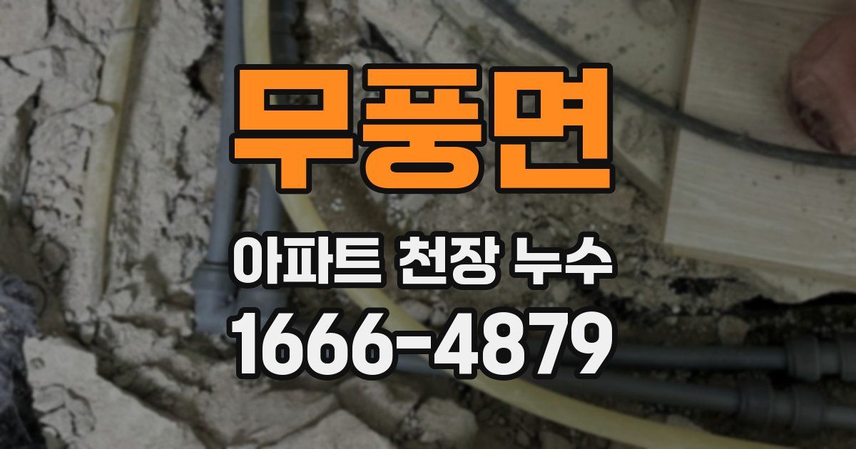 무풍면 아파트 천장 누수