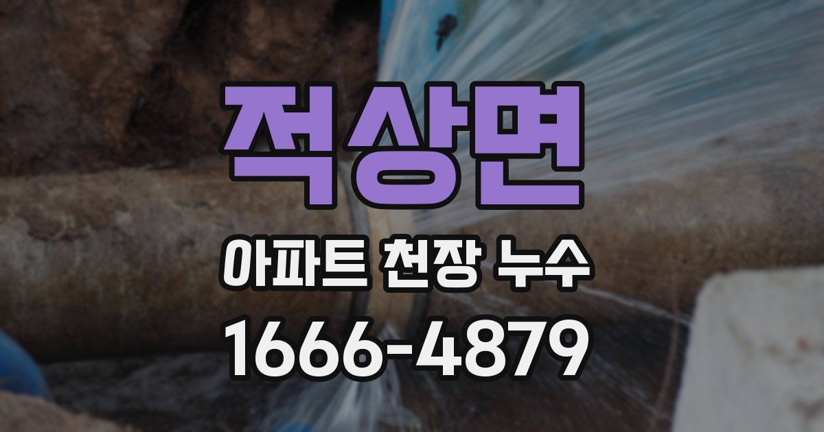 적상면 아파트 천장 누수