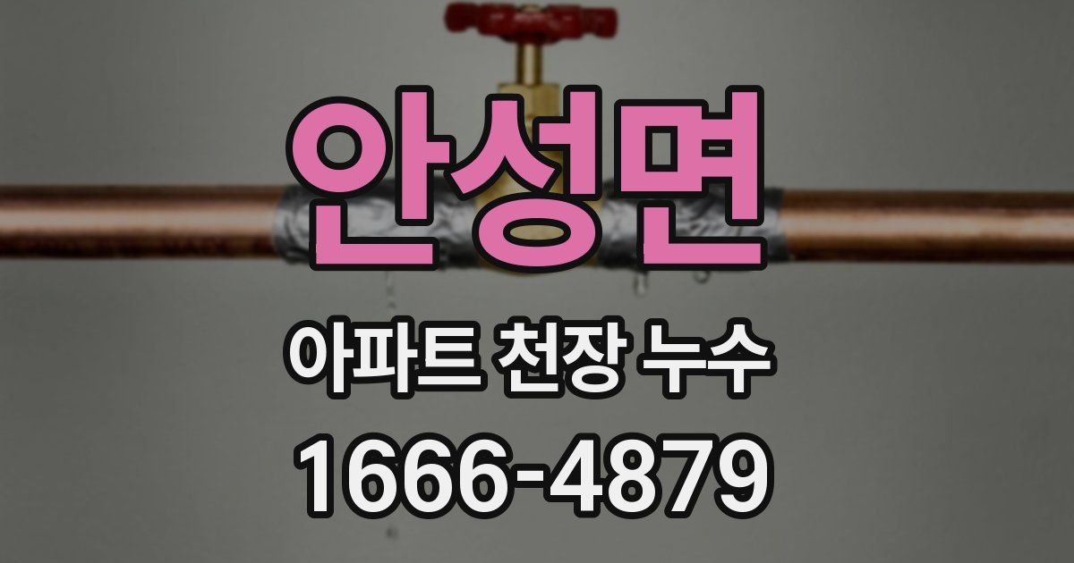 안성면 아파트 천장 누수