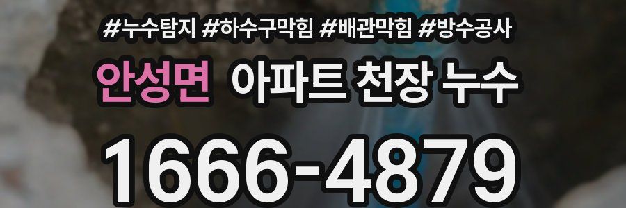 안성면 아파트 천장 누수