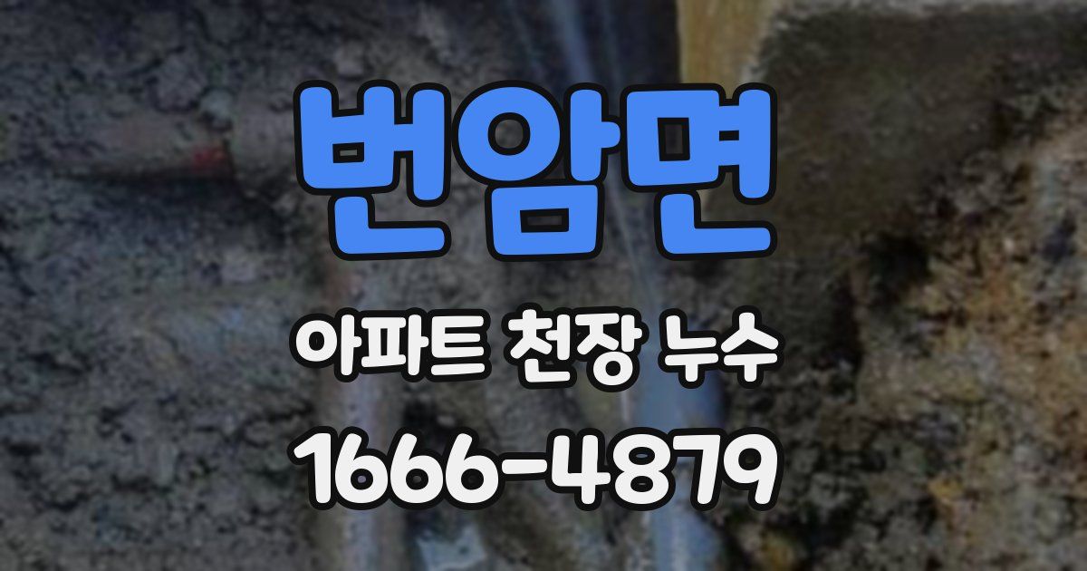 번암면 아파트 천장 누수
