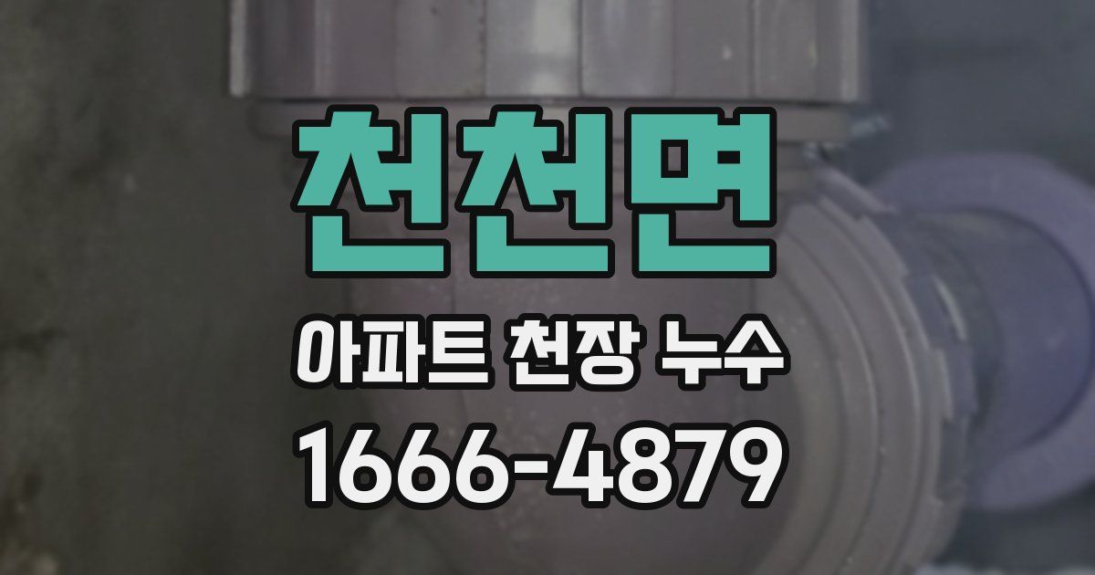 천천면 아파트 천장 누수
