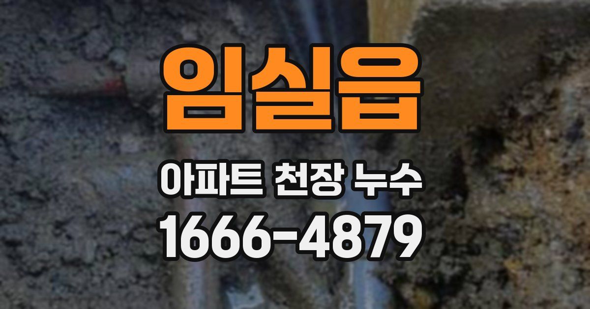 임실읍 아파트 천장 누수