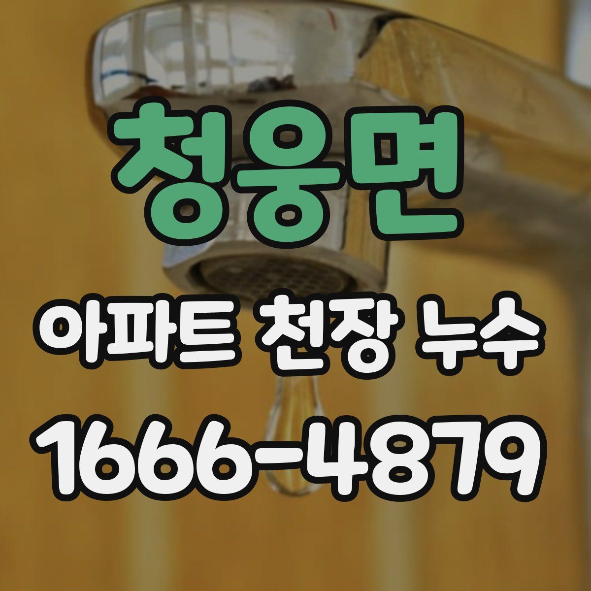 청웅면 아파트 천장 누수