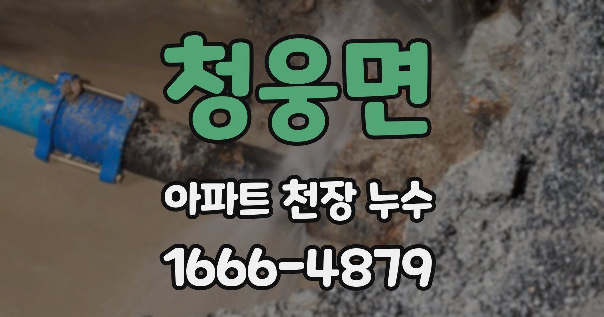 청웅면 아파트 천장 누수