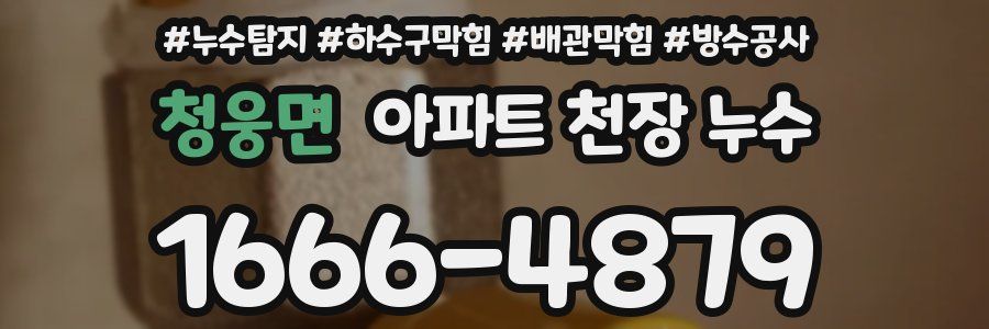 청웅면 아파트 천장 누수