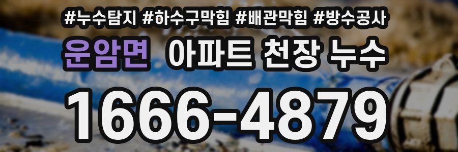 운암면 아파트 천장 누수