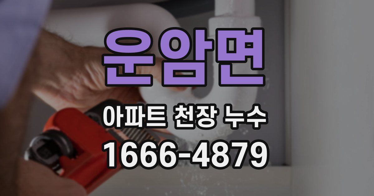 운암면 아파트 천장 누수