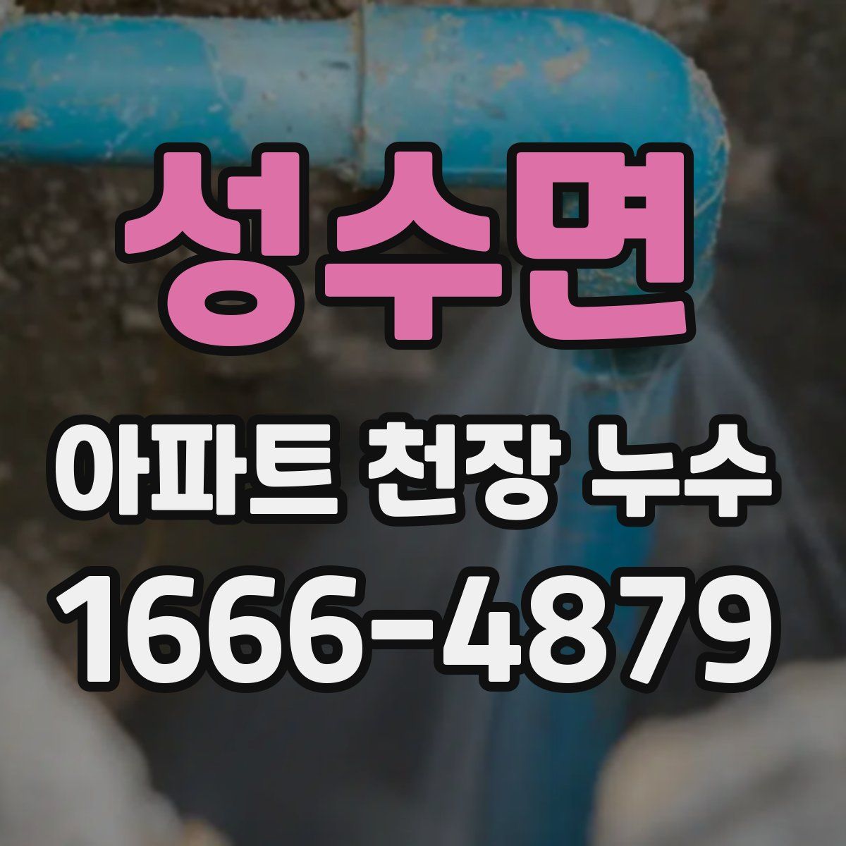 성수면 아파트 천장 누수
