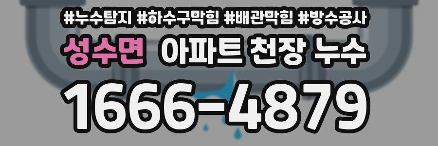 성수면 아파트 천장 누수