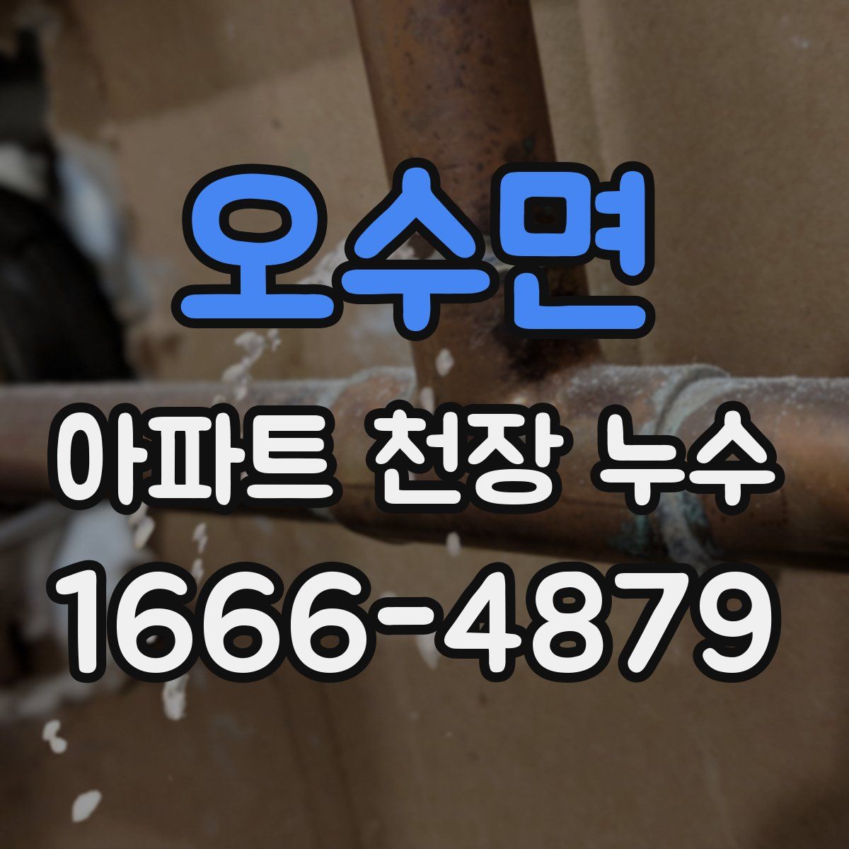 오수면 아파트 천장 누수