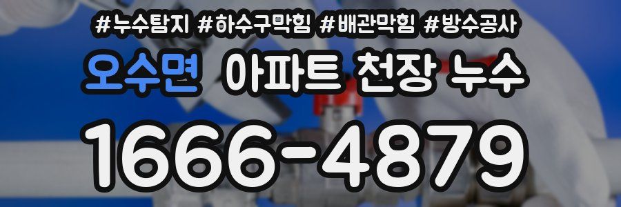 오수면 아파트 천장 누수