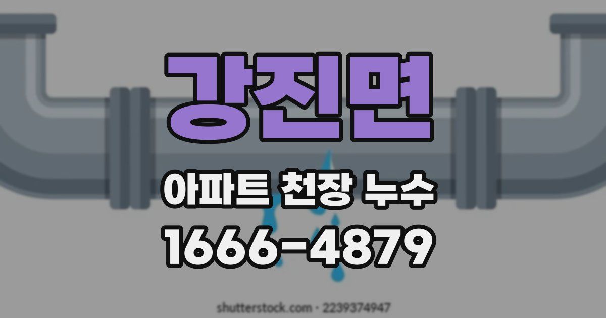 강진면 아파트 천장 누수