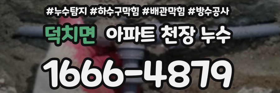 덕치면 아파트 천장 누수