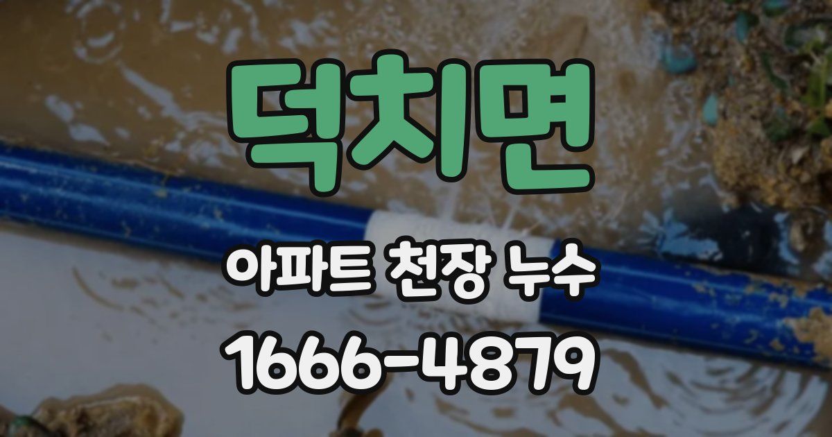 덕치면 아파트 천장 누수