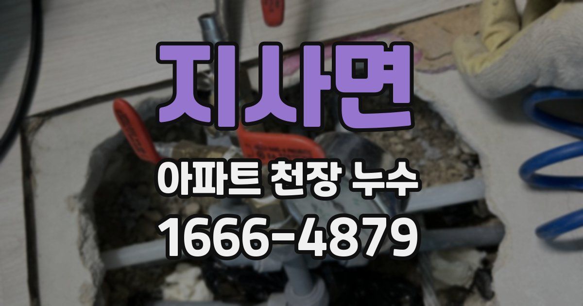지사면 아파트 천장 누수