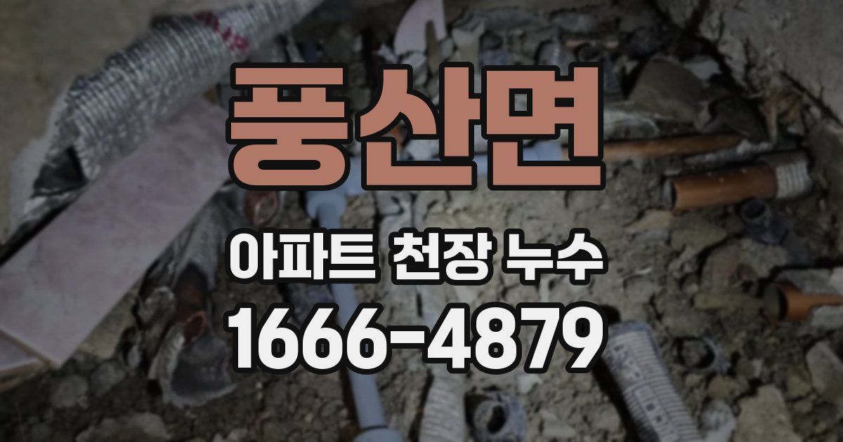 풍산면 아파트 천장 누수