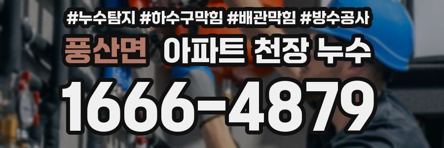 풍산면 아파트 천장 누수