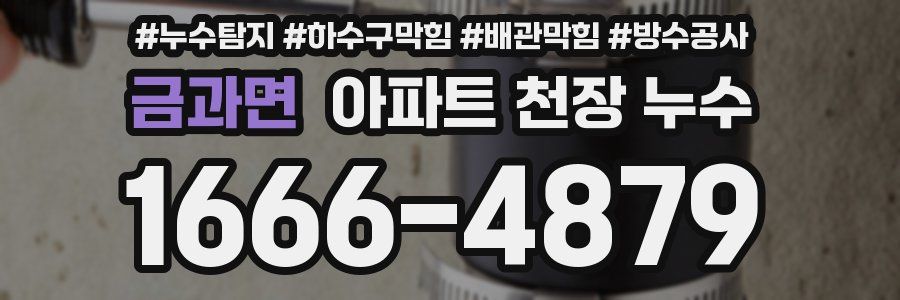 금과면 아파트 천장 누수