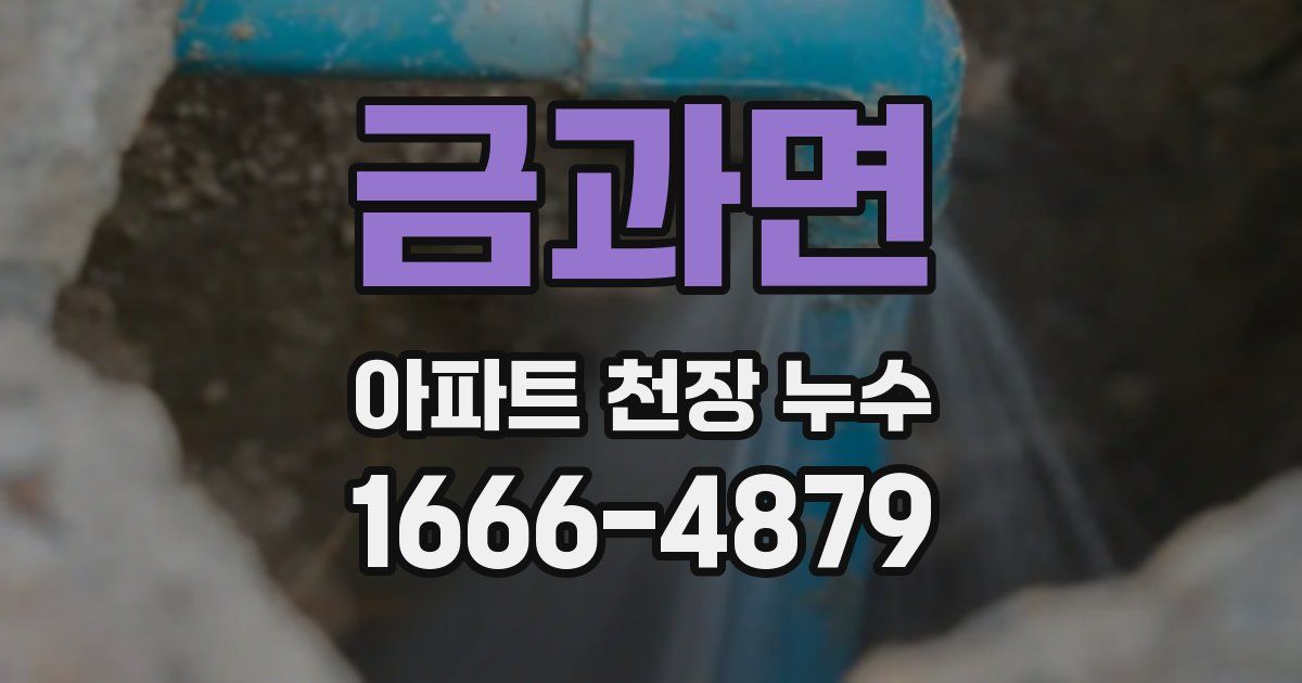 금과면 아파트 천장 누수