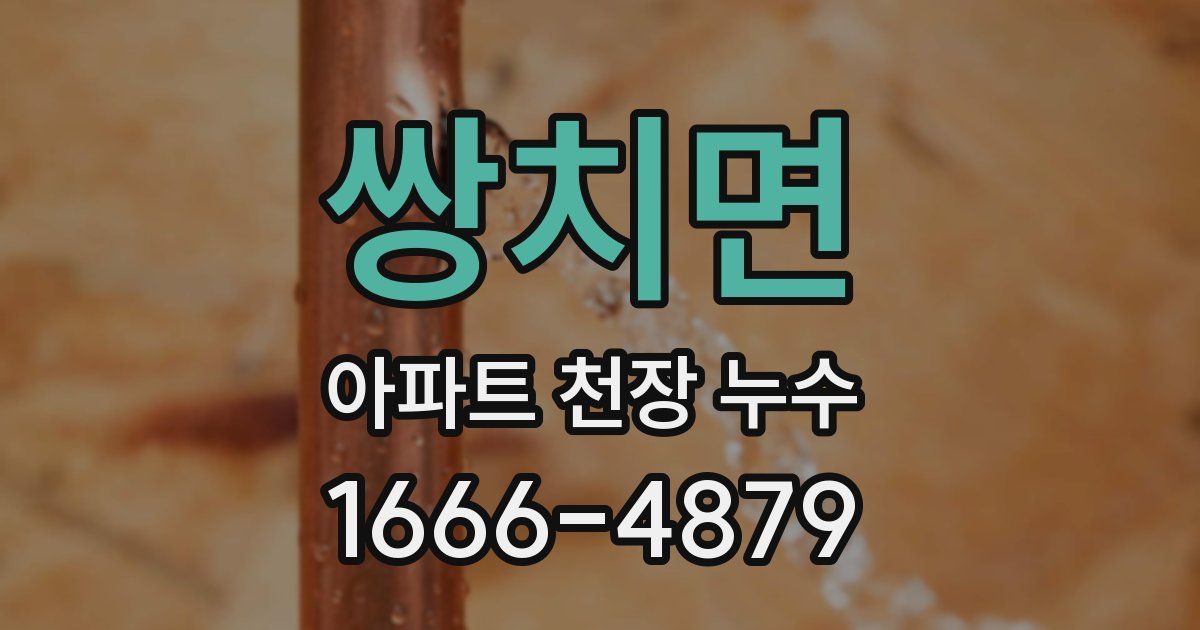 쌍치면 아파트 천장 누수