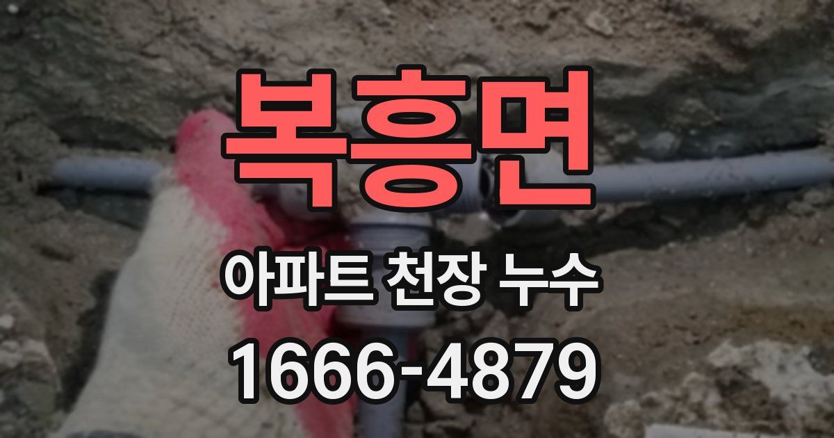 복흥면 아파트 천장 누수