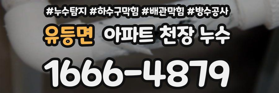 유등면 아파트 천장 누수