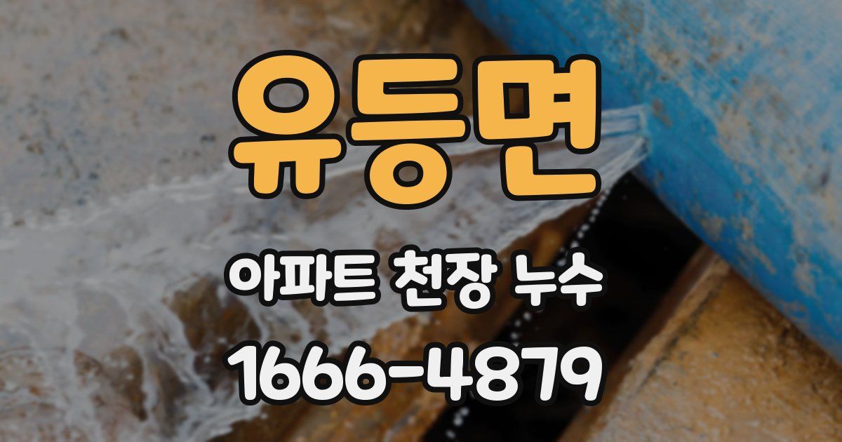 유등면 아파트 천장 누수