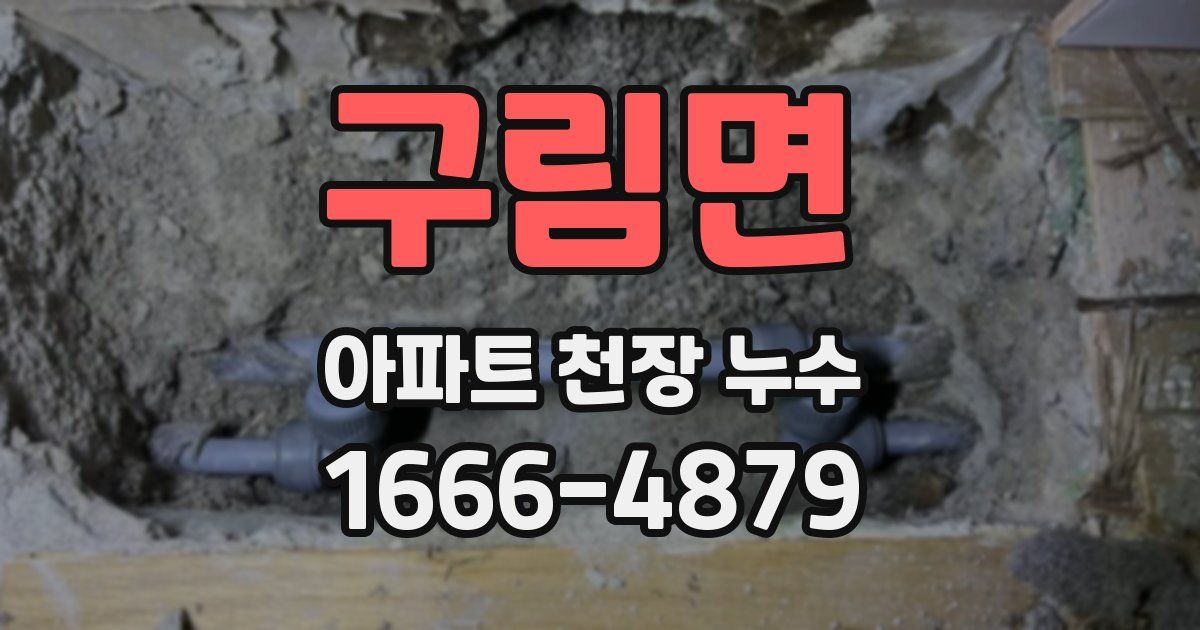 구림면 아파트 천장 누수